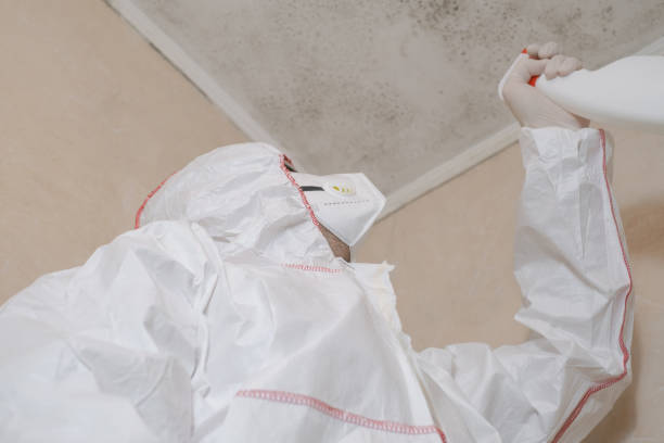 Best Affordable Mold Removal  in Oak Trail Shores, TX