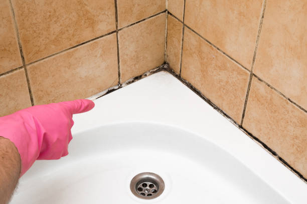 Best Mold Cleaning Services  in Oak Trail Shores, TX